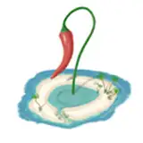 SpiceLagoon
