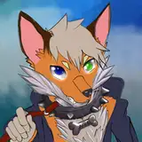 Nym The Fox Animations