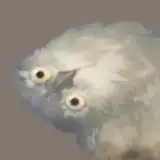 Mona Shin